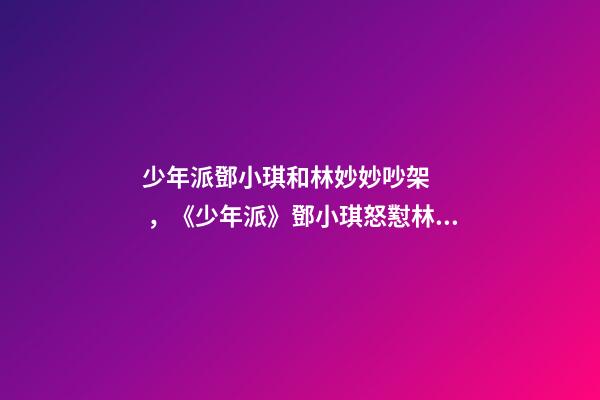 少年派鄧小琪和林妙妙吵架，《少年派》鄧小琪怒懟林妙妙被指“心機重”-第1張-觀點-玄機派